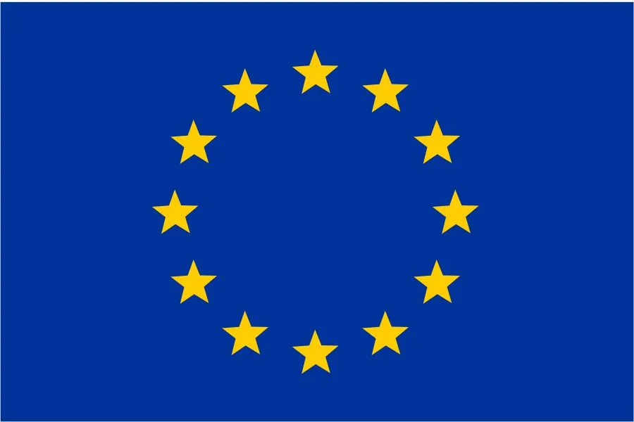Home 5 EU flag